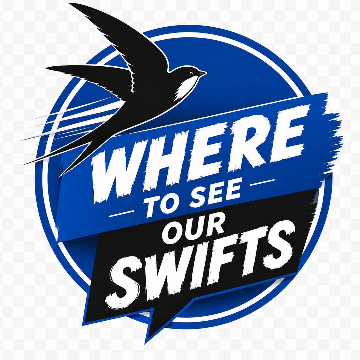 Where to see our swifts